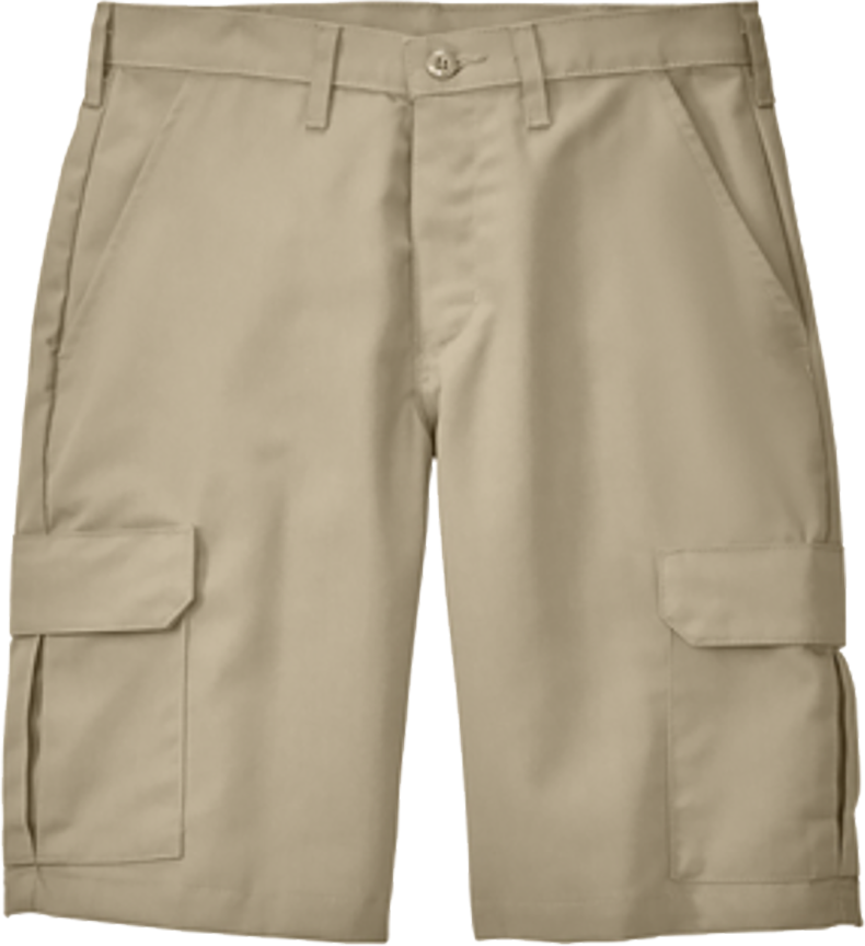 BHS Maintenance - Cargo Shorts - PT66